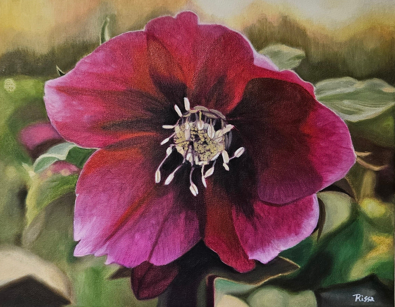 Botanical and Nature Art
