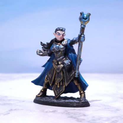Female Elf Wizard Painted D&D Hero Miniature | Rose and Shadow