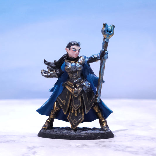 Female Elf Wizard Painted D&D Hero Miniature | Rose and Shadow