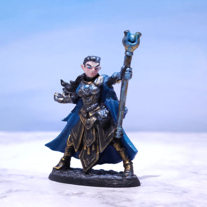 Female Elf Wizard Painted D&D Hero Miniature | Rose and Shadow